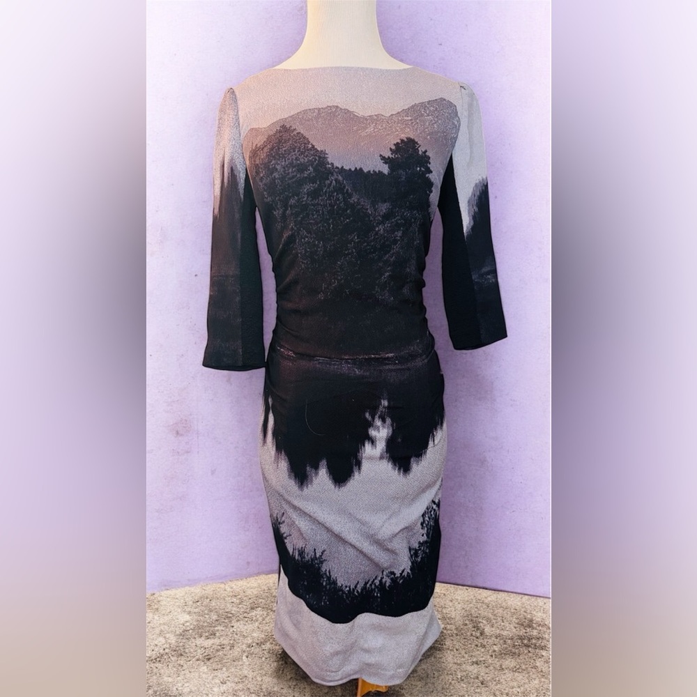 [Tracy Reese] Gray Silk Winter Landscape Dress Sz: 2